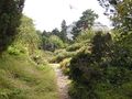 Botanischer Garten Alpenlandschaft.jpg